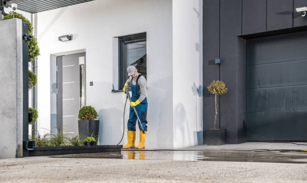 Best Machinery and Equipment Cleaning  in Despard, WV
